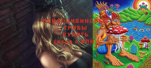 соль ск Бородино