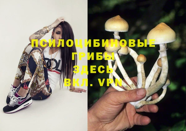 эйфоретик Бронницы