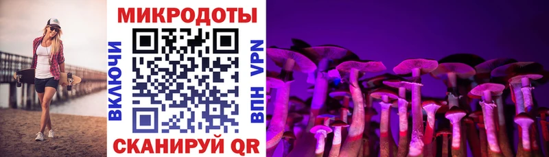 как найти   Абакан  Псилоцибиновые грибы Psilocybe 