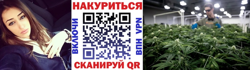Бошки марихуана марихуана  Абакан 